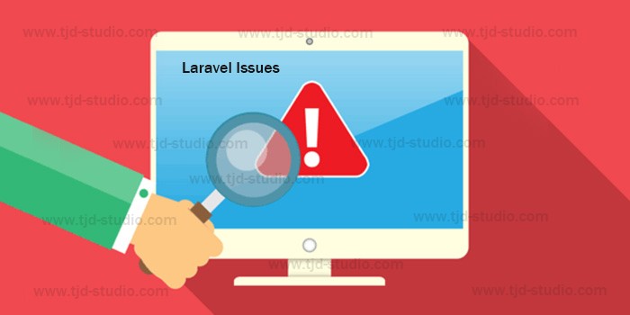 Laravel public folder on live server